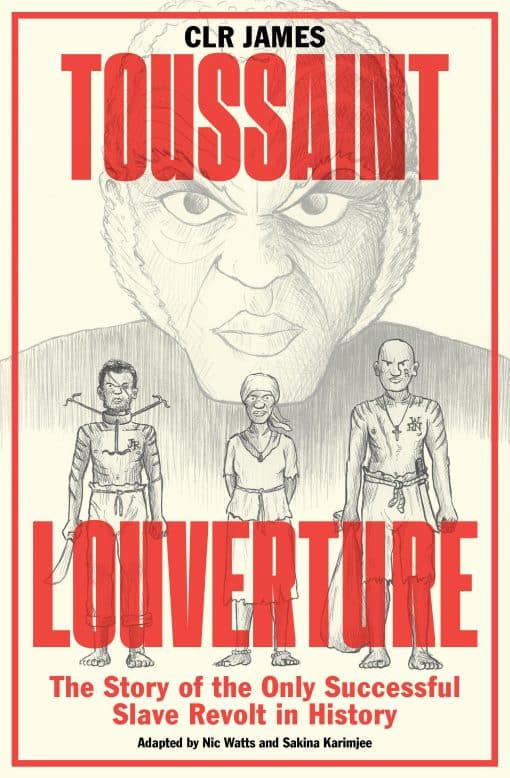 The Story of the Only Successful Slave Revolt in History: Toussaint Louverture