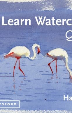 Techniques And Painting Secrets For The Absolute Beginner: Learn Watercolour Quickly