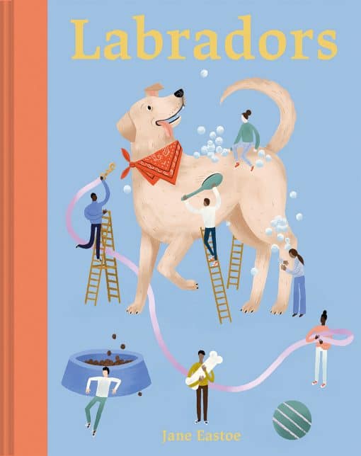 Labradors: