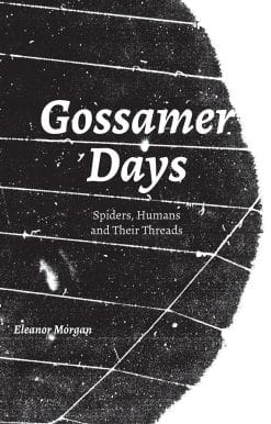 Spiders, Humans and Their Threads: Gossamer Days