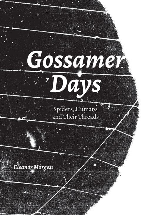 Spiders, Humans and Their Threads: Gossamer Days