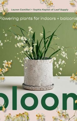 Bloom: Flowering Plants for Indoors and Balconies