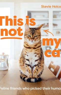 This Is Not My Cat: Feline Friends Who Picked Their Humans