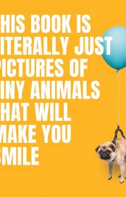 This Book Is Literally Just Pictures of Tiny Animals That Will Make You Smile