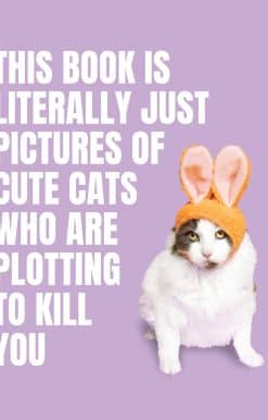 This Book is Literally Just Pictures of Cute Cats Who Are Plotting to Kill You