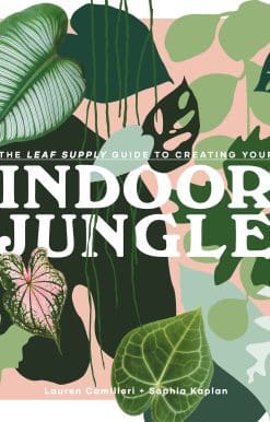 The Leaf Supply Guide to Creating Your Indoor Jungle
