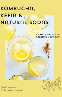 Kombucha, Kefir & Natural Sodas: A Simple Guide for Creating Your Own