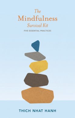 The Mindfulness Survival Kit: Five Essential Practices