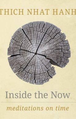 Inside the Now: Meditations on Time