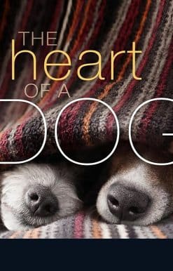 The Heart of a Dog
