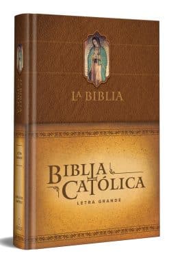 La Biblia Católica: Edición letra grande. Tapa dura, marrón, con Virgen de Guada lupe en cubierta / Catholic Bible. Hard Cover, brown, with Virgen
