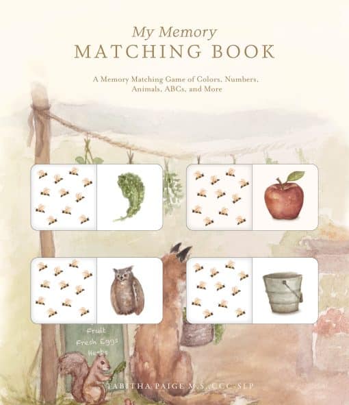 A Memory Matching Game of Colors, Numbers, Animals, ABCs, and More: My Memory Matching Book