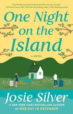 One Night on the Island: A Novel