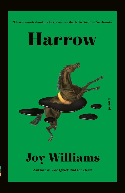 Harrow: A novel (Kirkus Prize)