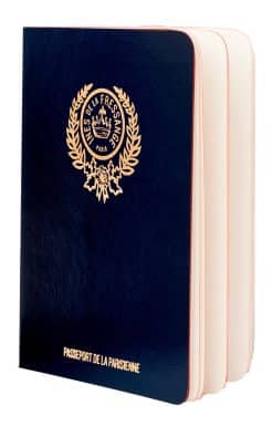Parisian Chic Passport (blue)