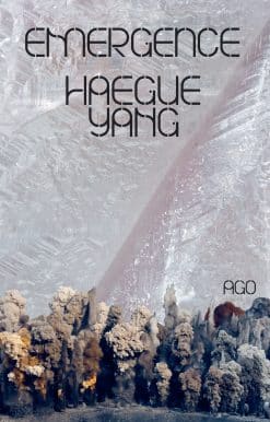 Haegue Yang: Emergence
