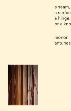 Leonor Antunes: a seam, a surface, a hinge, or a knot