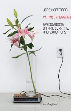 In the Meantime: Speculations on Art, Curating, and Exhibitions