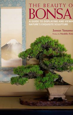 The Beauty of Bonsai: A Guide to Displaying and Viewing Nature's Exquisite Sculpture