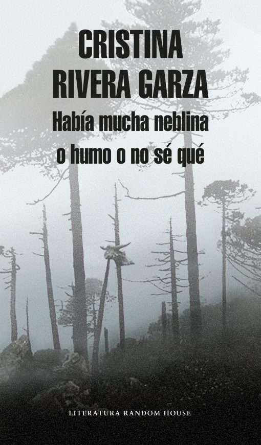 Había mucha neblina o humo o no sé qué: Caminar con Juan Rulfo / There Was a Lot  of Fog, or Smoke, or I'm Not Sure What: Walking with Juan Rulfo