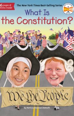 What Is the Constitution?