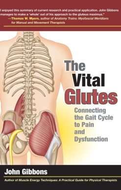 The Vital Glutes: Connecting the Gait Cycle to Pain and Dysfunction