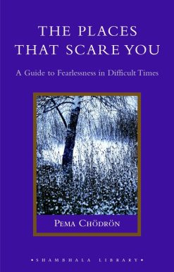 The Places That Scare You: A Guide to Fearlessness in Difficult Times