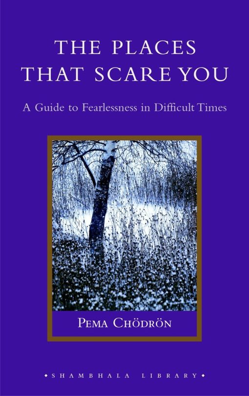 The Places That Scare You: A Guide to Fearlessness in Difficult Times