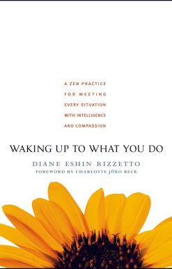 Waking Up to What You Do: A Zen Practice for Meeting Every Situation with Intelligence and Compassion