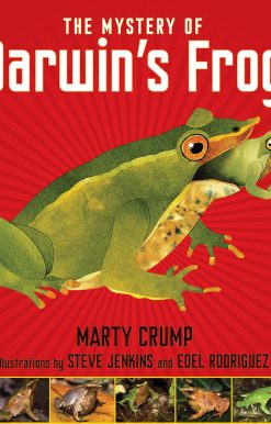 The Mystery of Darwin's Frog