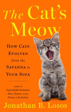 The Cat's Meow: How Cats Evolved from the Savanna to Your Sofa