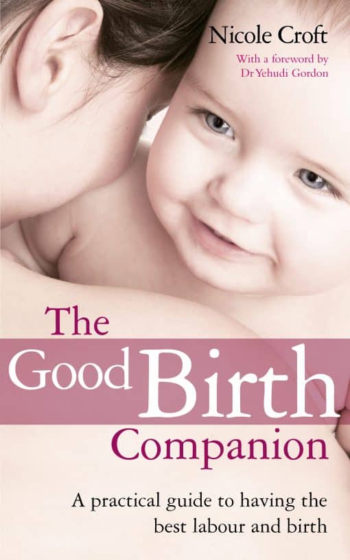 The Good Birth Companion: A Practical Guide to Having the Best Labour and Birth