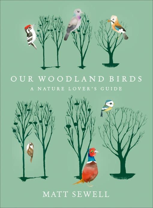 Our Woodland Birds