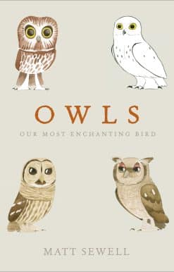 Owls: Our Most Enchanting Bird