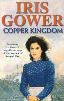 Copper Kingdom: a moving and emotional Welsh saga of class, heartache and passion you won’t be able to put down