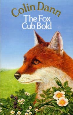 The Fox Cub Bold