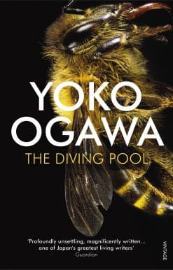 The Diving Pool