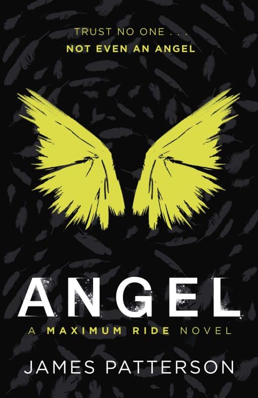 Angel: A Maximum Ride Novel: (Maximum Ride 7)