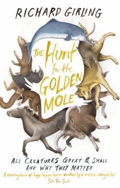The Hunt for the Golden Mole: All Creatures Great and Small, and Why They Matter