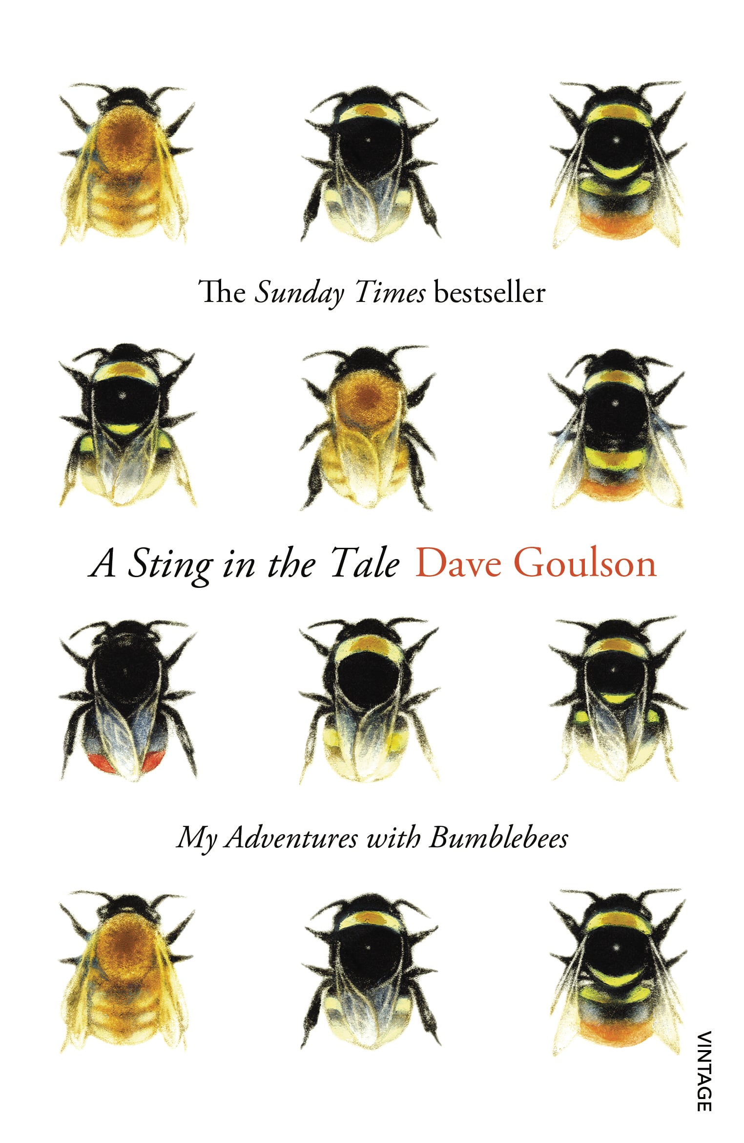 LEAD Technologies Inc. V1.01 A Sting in the Tale: My Adventures with Bumblebees