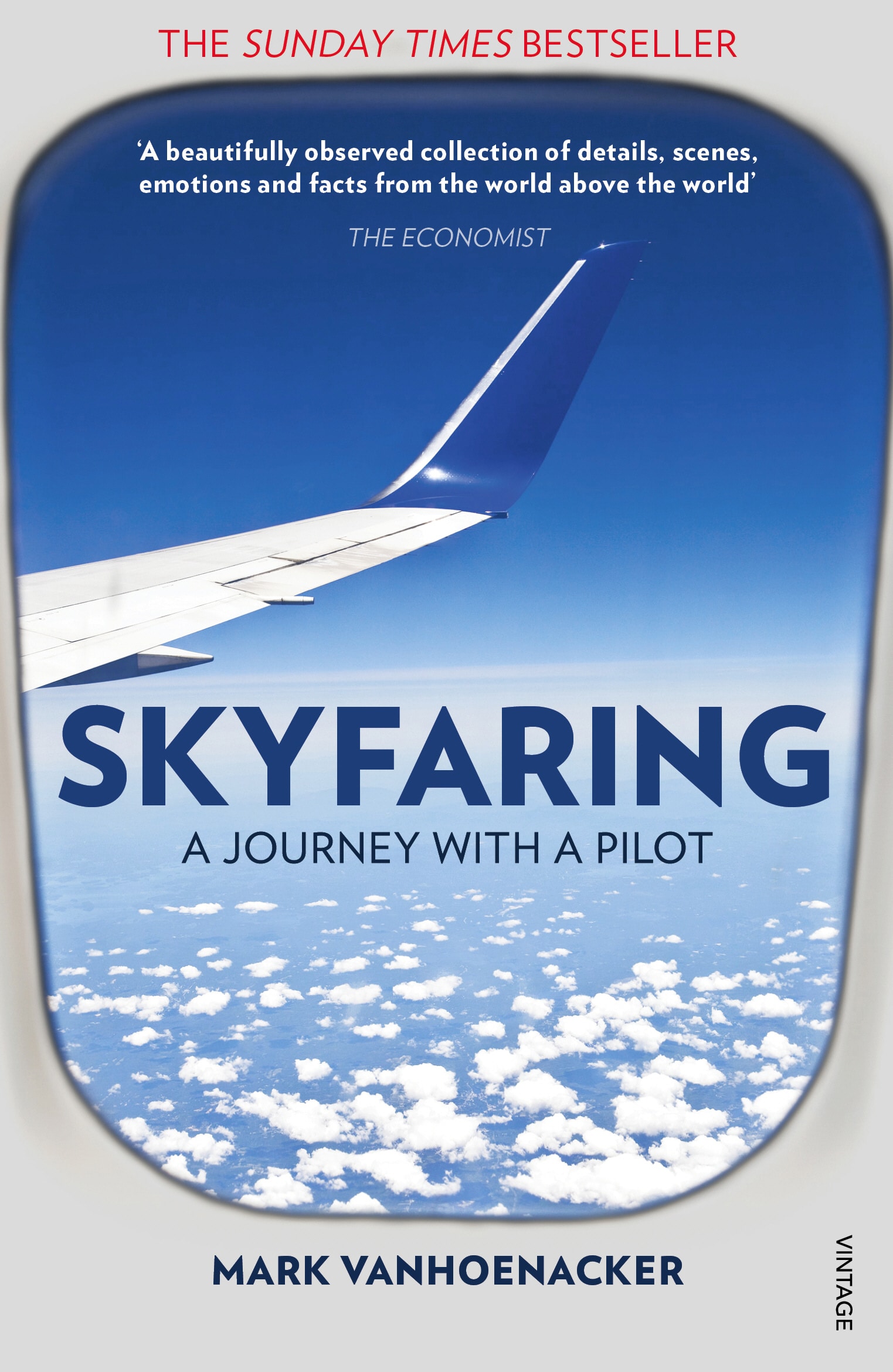 LEAD Technologies Inc. V1.01 Skyfaring: A Journey with a Pilot