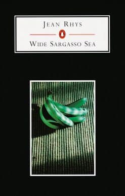 Wide Sargasso Sea