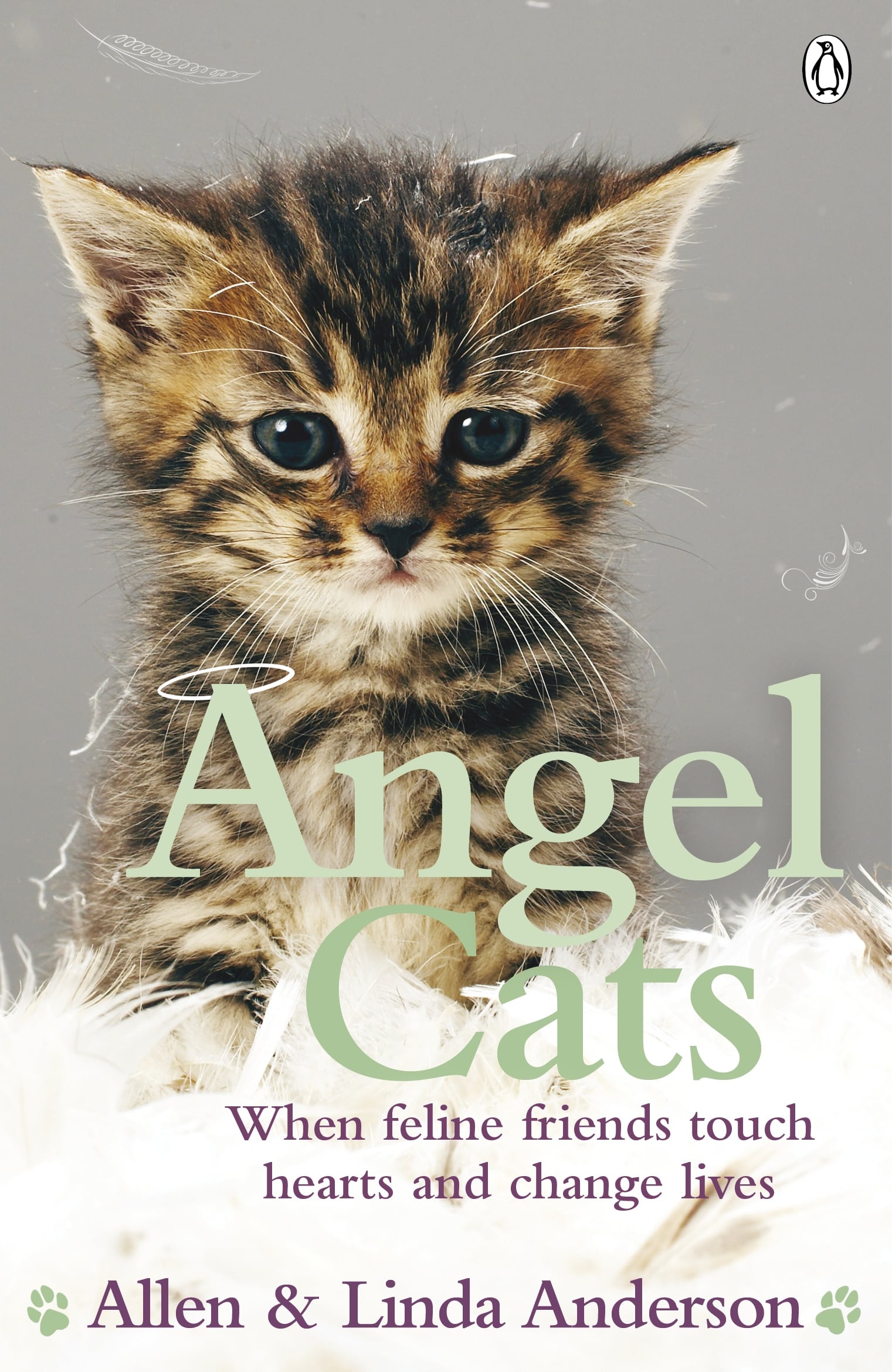 9780141044415 Angel Cats: When feline friends touch hearts and change lives
