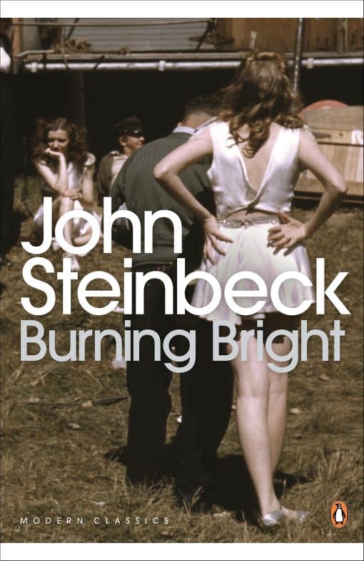 Burning Bright: A Play in Story Form