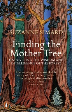 Finding the Mother Tree: Uncovering the Wisdom and Intelligence of the Forest