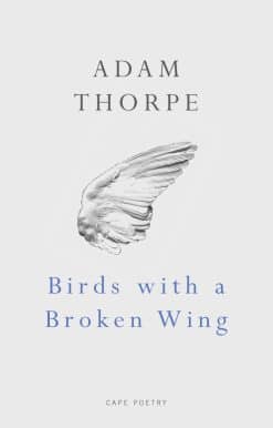 Birds With A Broken Wing