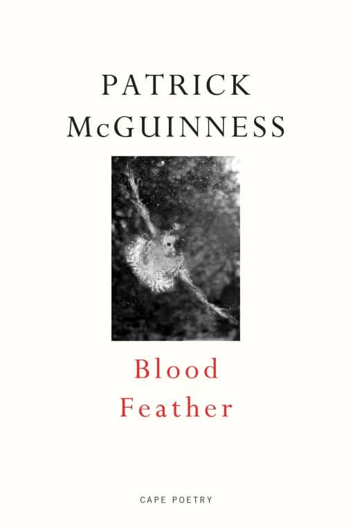 Blood Feather: ‘He writes with Proustian élan and Nabokovian delight’ John Banville