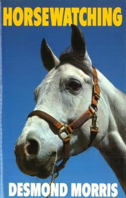 Horsewatching