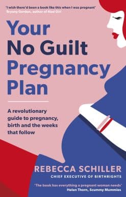 Your No Guilt Pregnancy Plan: A revolutionary guide to pregnancy, birth and the weeks that follow