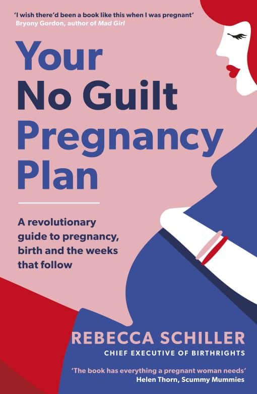 Your No Guilt Pregnancy Plan: A revolutionary guide to pregnancy, birth and the weeks that follow